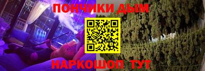 МДПВ Дубна