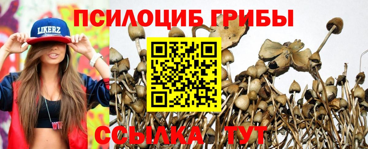 Лысьва  Псилоцибиновые грибы Magic Shrooms  Вход с VPN  Галлюциногенные грибы GOLDEN TEACHER 